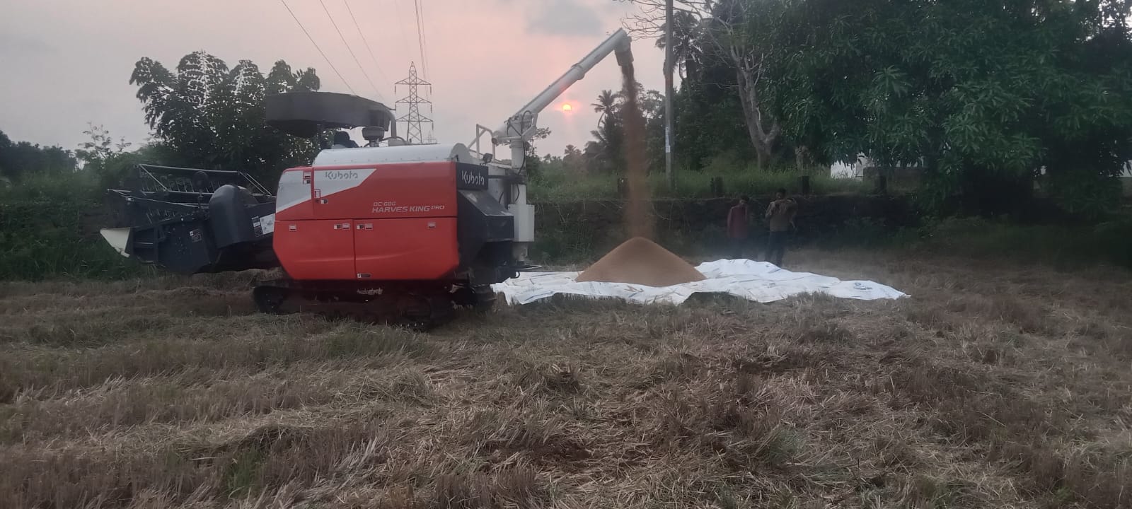 From Fallow Fields to Golden Grains: Adv. Chandy Oommen MLA Ushers in a New Era for TIESFPC image 6