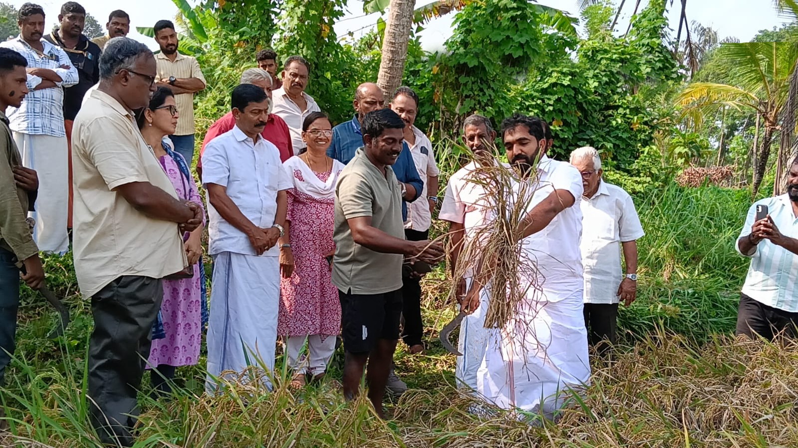 From Fallow Fields to Golden Grains: Adv. Chandy Oommen MLA Ushers in a New Era for TIESFPC image 7