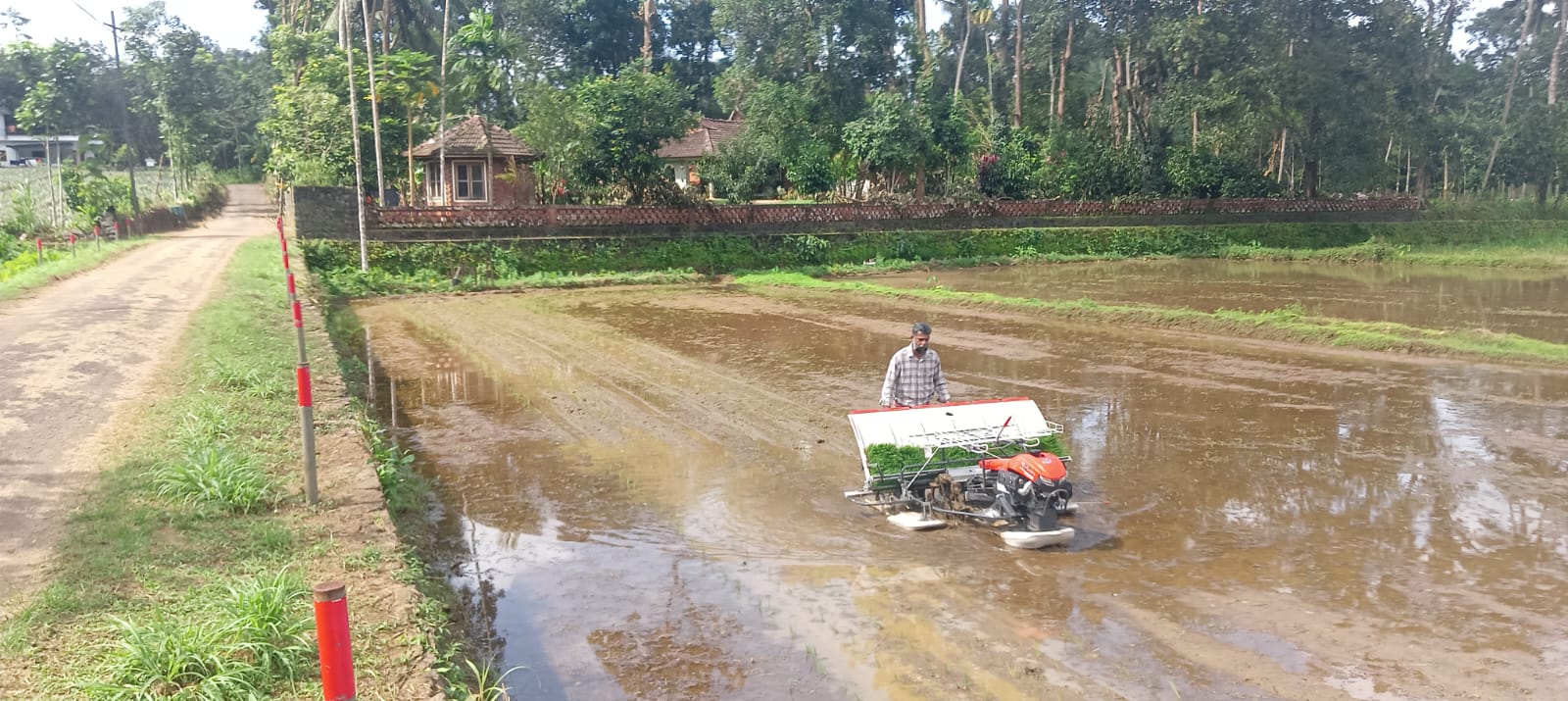 TIESFPC Launches Virippu Rice Cultivation at Maranagadu Polder, Ramapuram, with 90% Mechanised Farming to Revive Fallow Paddy Lands image 5