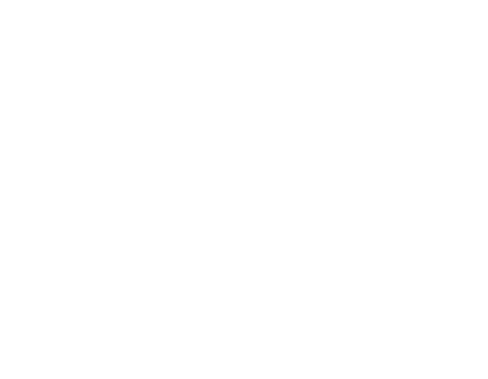 Sonos Logo