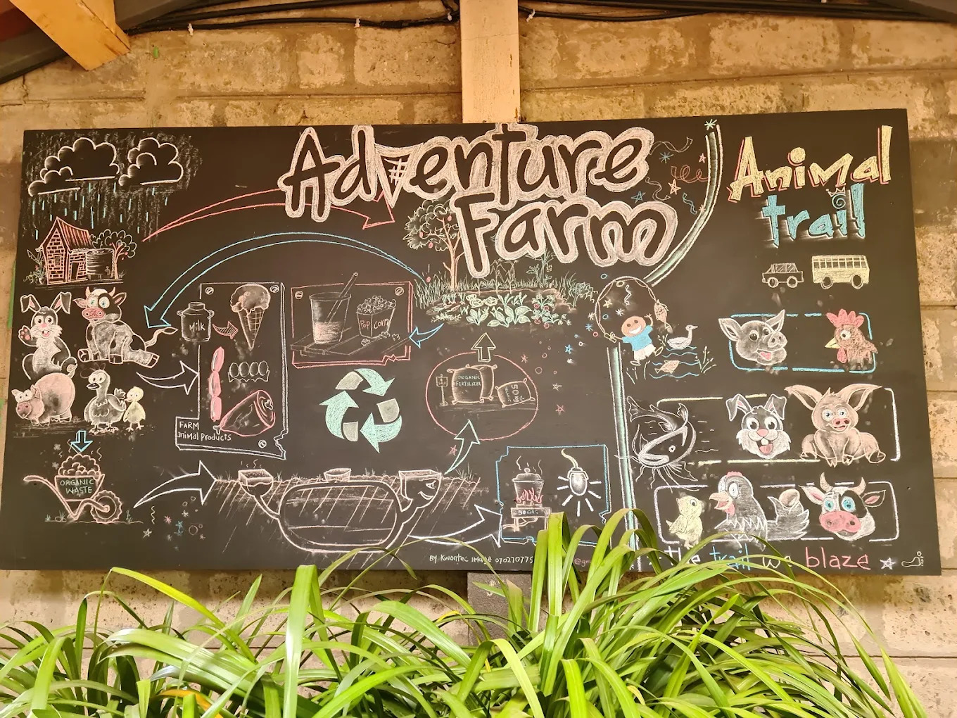 Mlango Farm — Ngecha, Limuru