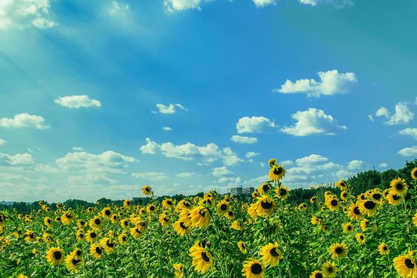 Make Changes At Your Happiest! Summer is coming.