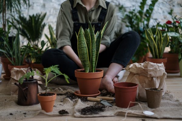 What do you want to gain from personal growth?