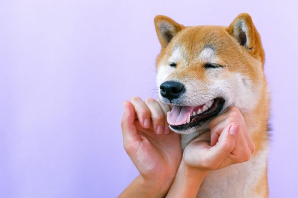 Quick tips to be happy