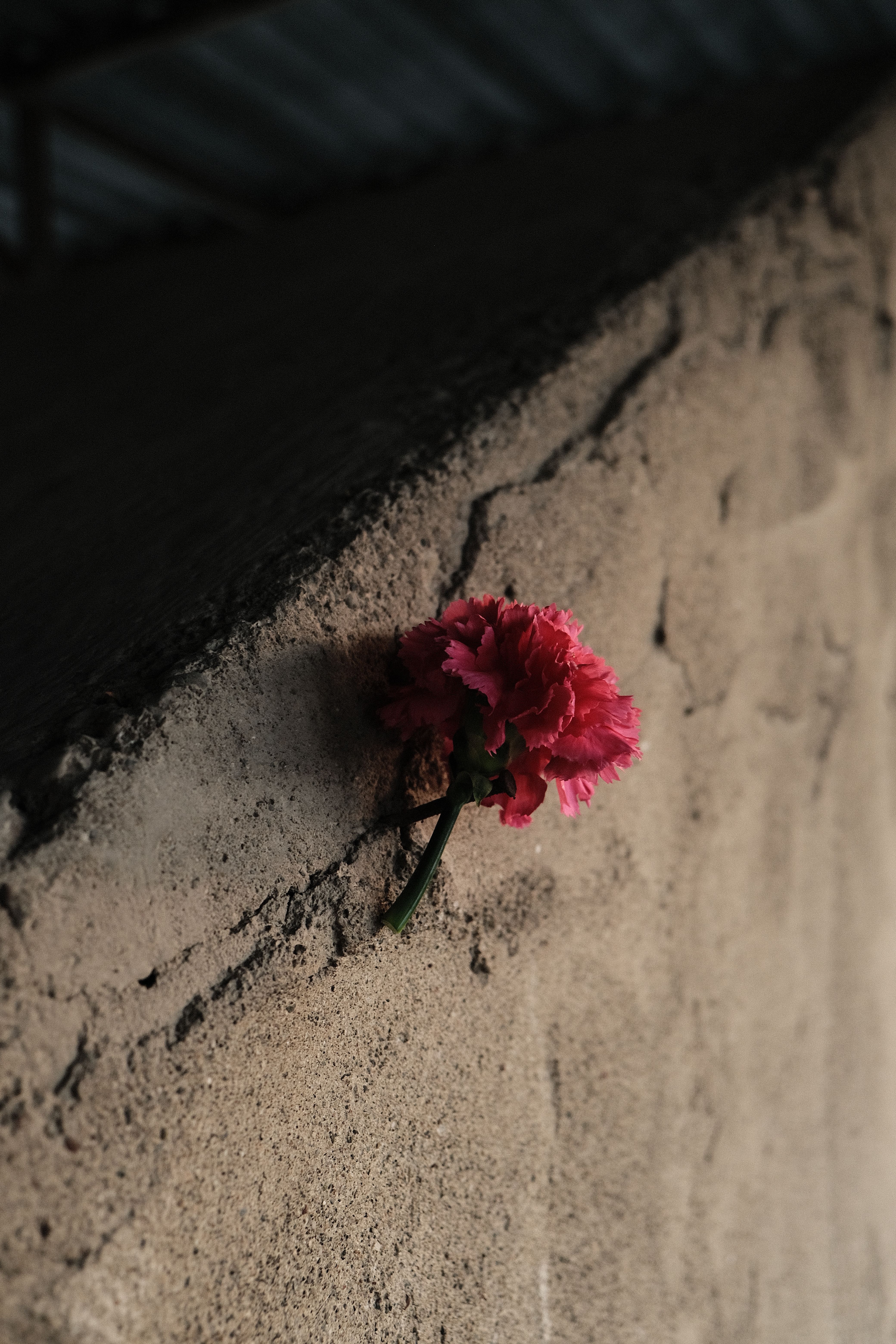 Is a Bad Relationship Worse Than Being Single?