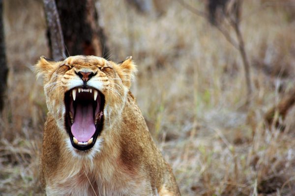 Why am I angry?