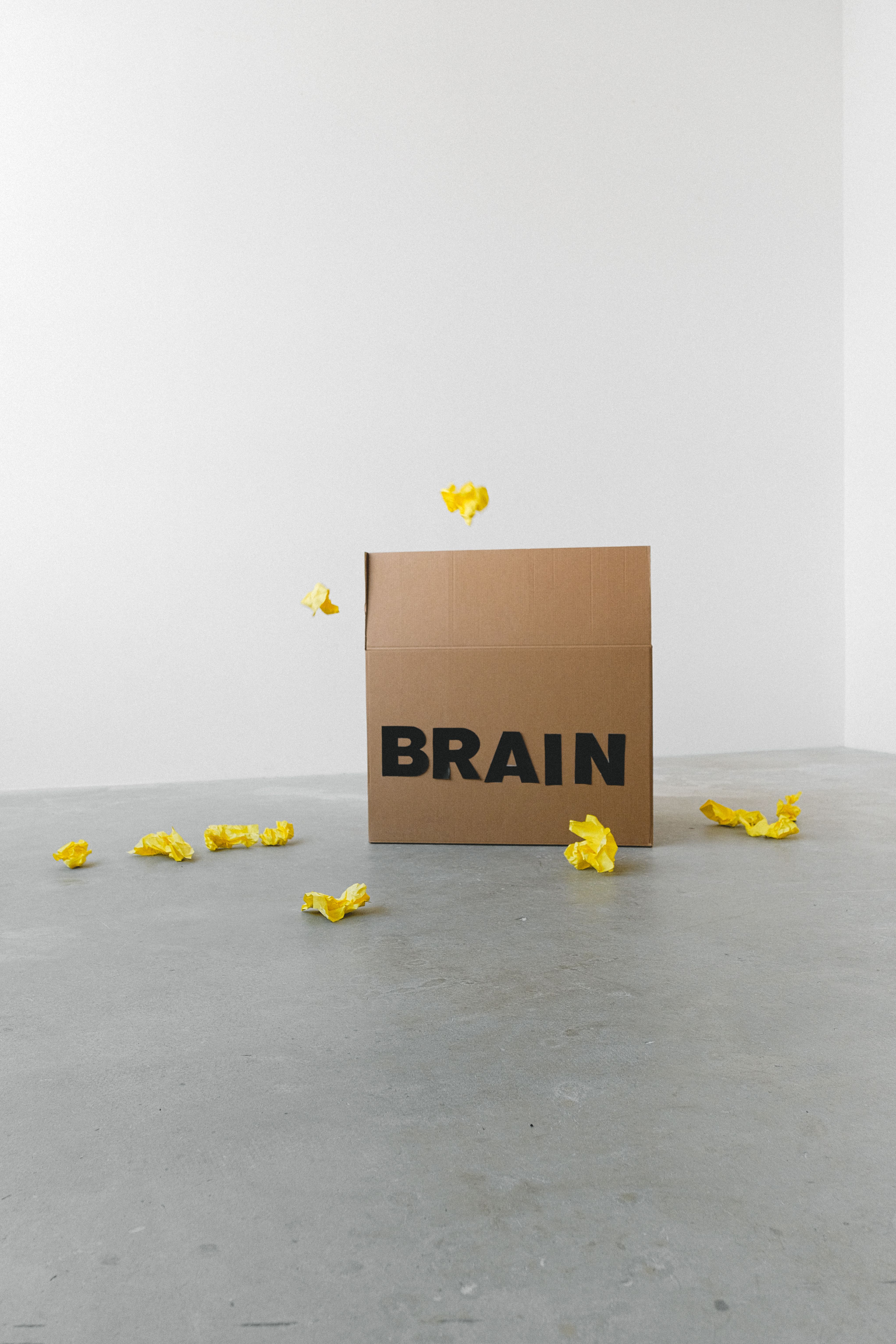 Is Brain Rot Real?