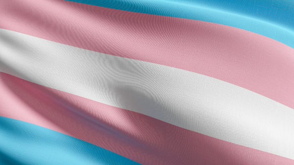 <h2>Victory for Transgender Client in Anti-Discrimination Lawsuit</h2>