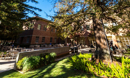 <h2>Shapiro Courtyard</h2>