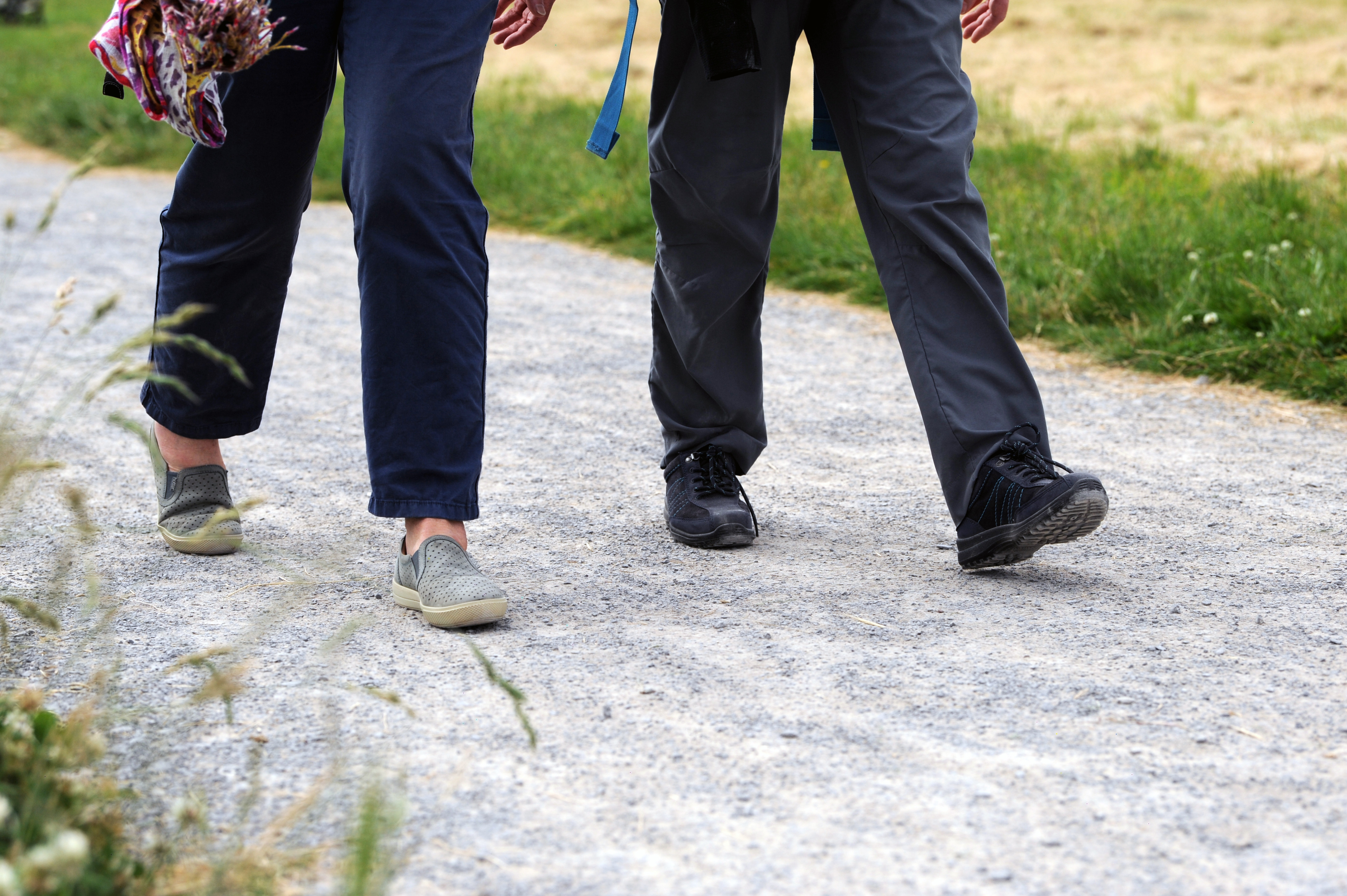 Two pairs of legs walking on a path