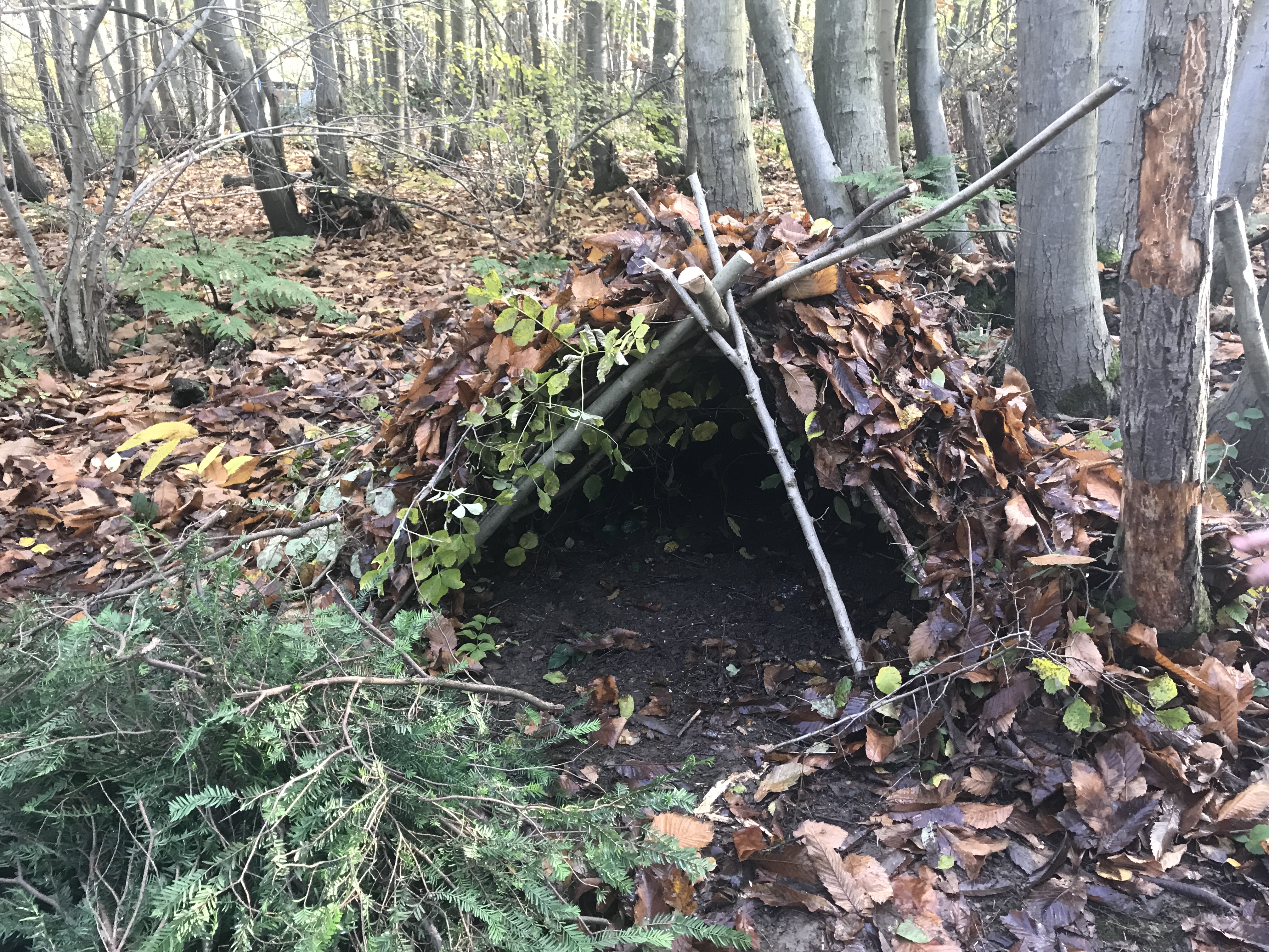 A debris shelter