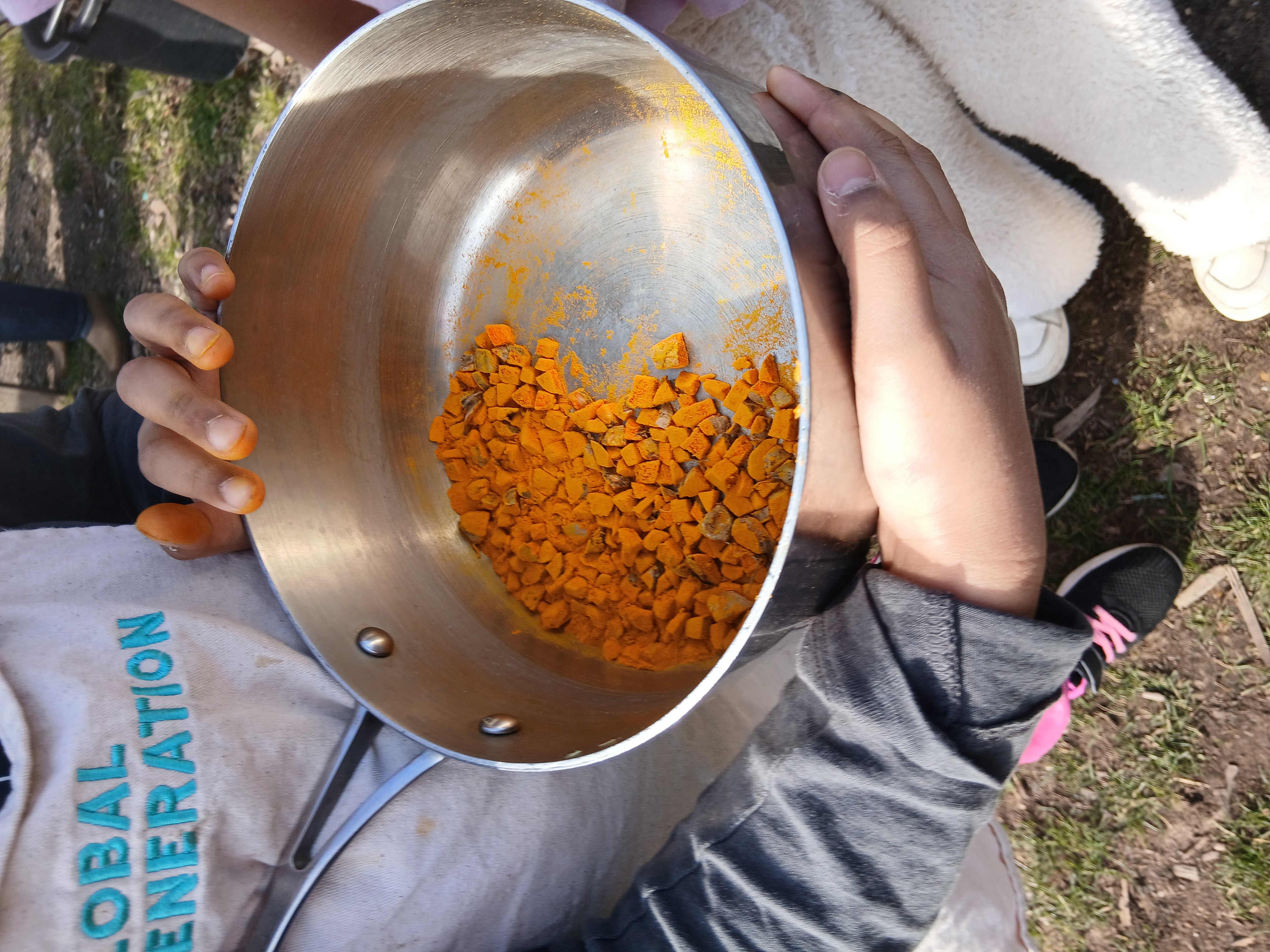 making seed bombs