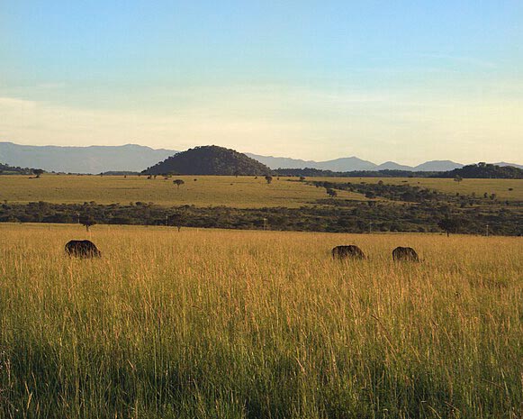 Wide Kidepo Valley landscape from the Elhaneman media archive