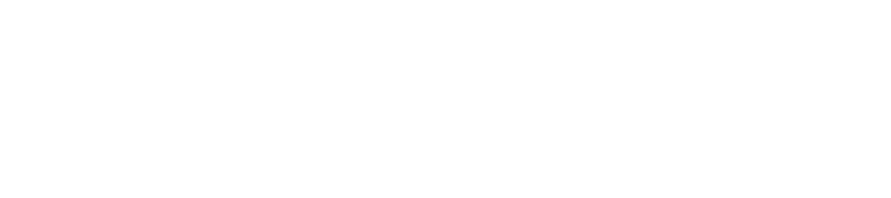 ZEPP
