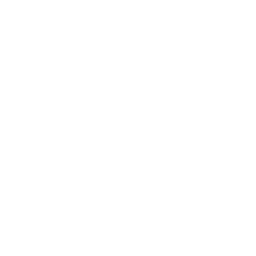 2. Mentorship & Training