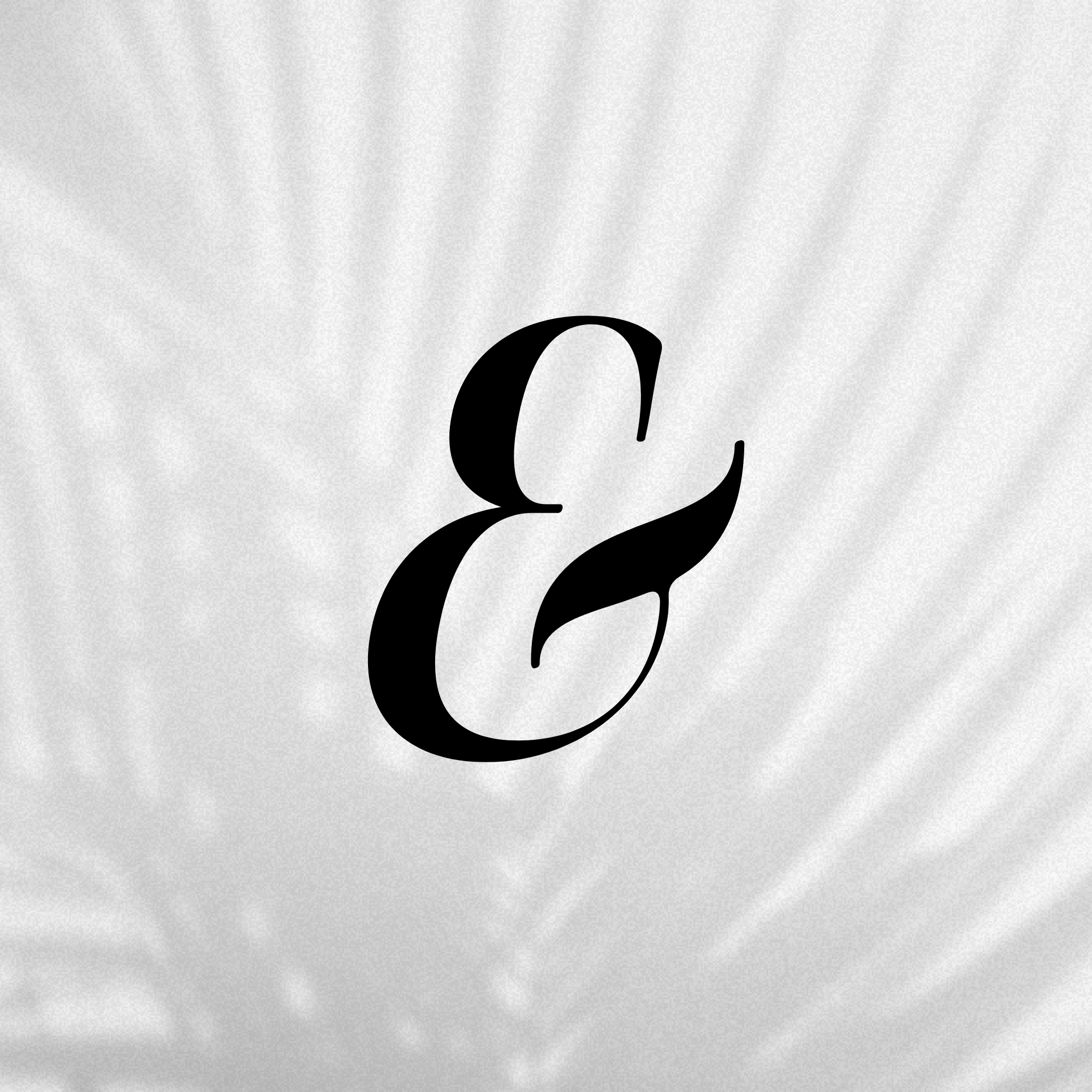 Our Favorite Products