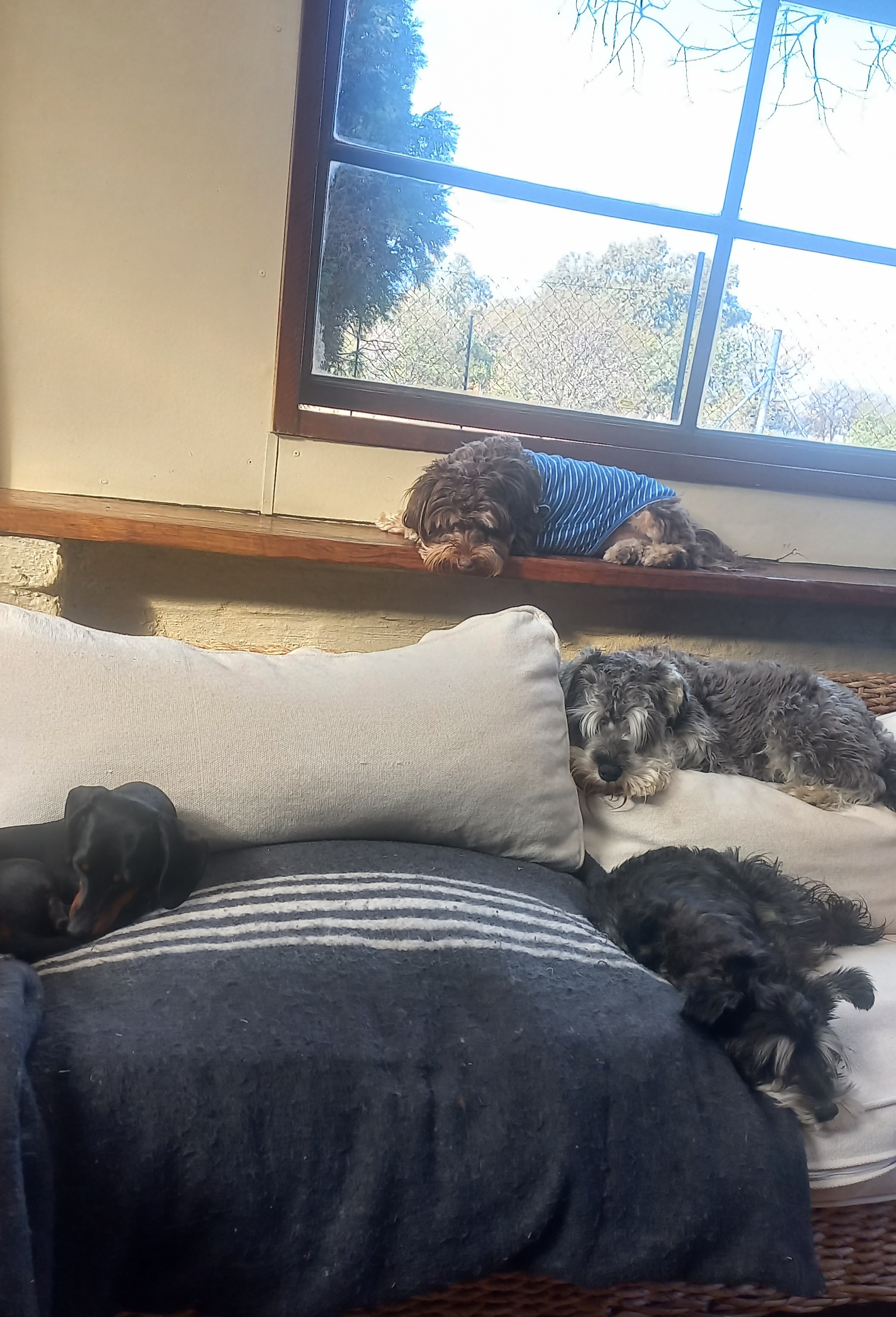 Lazy afternoons at the inn