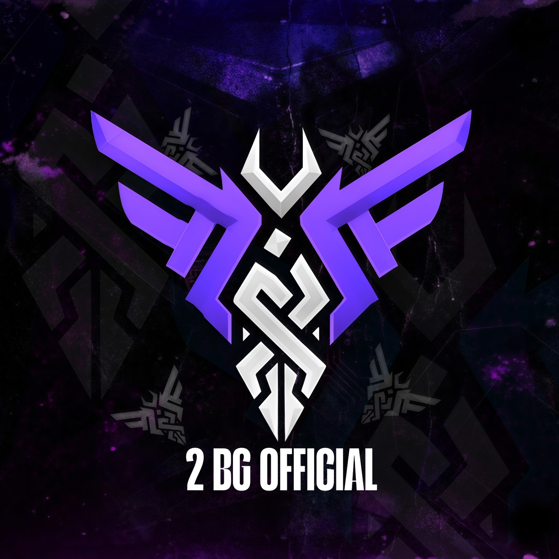 2 BG OFFICIAL.ORG