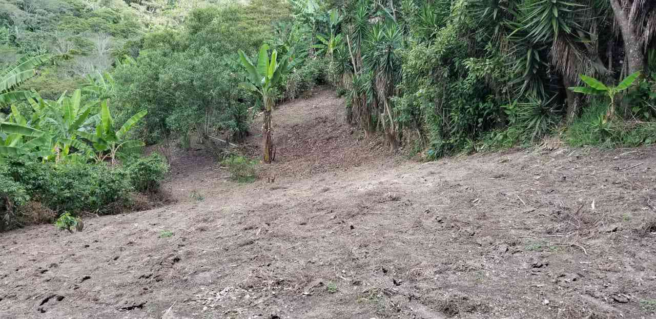 Land in Barrio El Rincon, Siguatepeque, Honduras