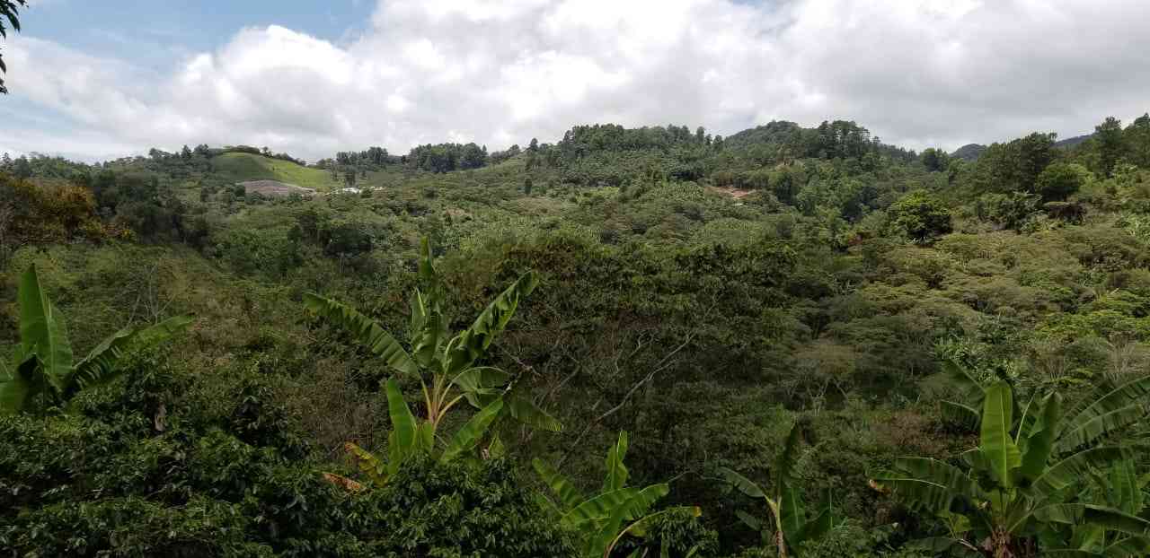 Land in Barrio El Rincon, Siguatepeque, Honduras