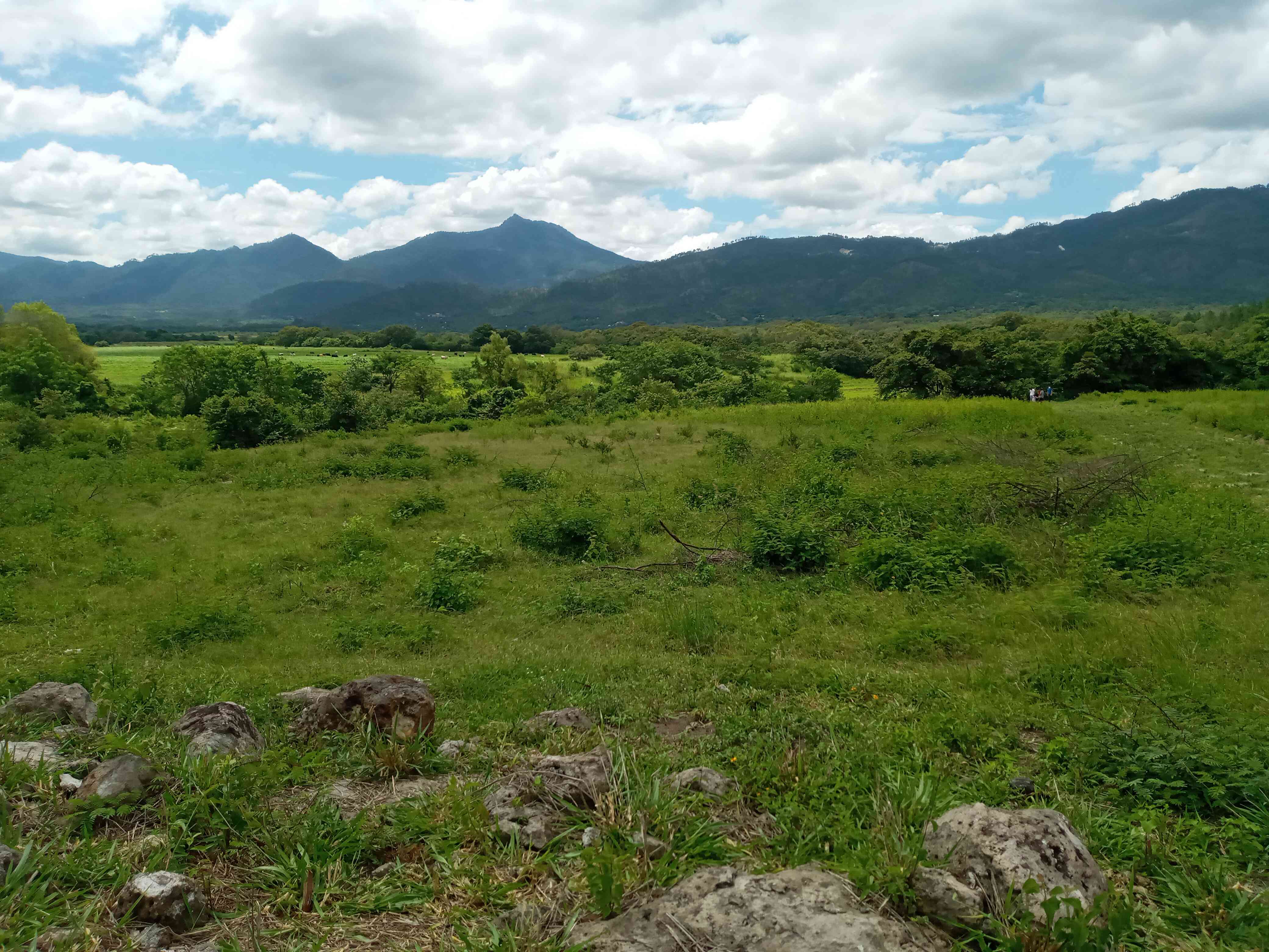 Land in 2299+PF El Zamorano, Honduras