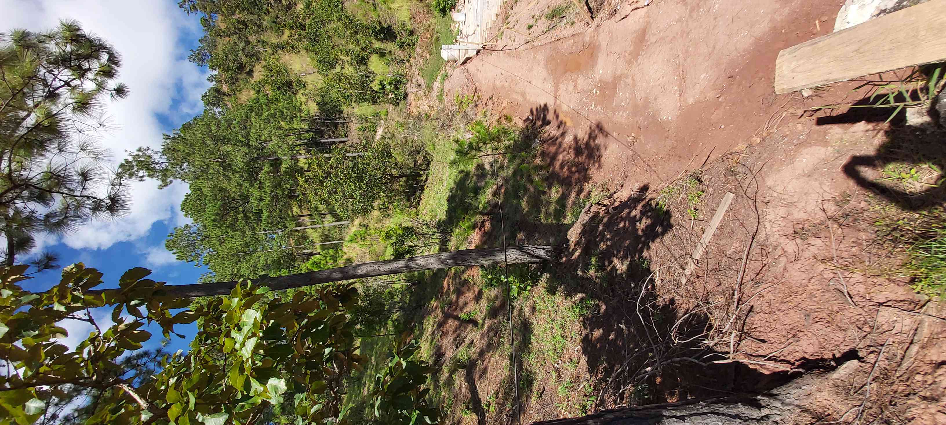 Land in Unnamed Road, Honduras