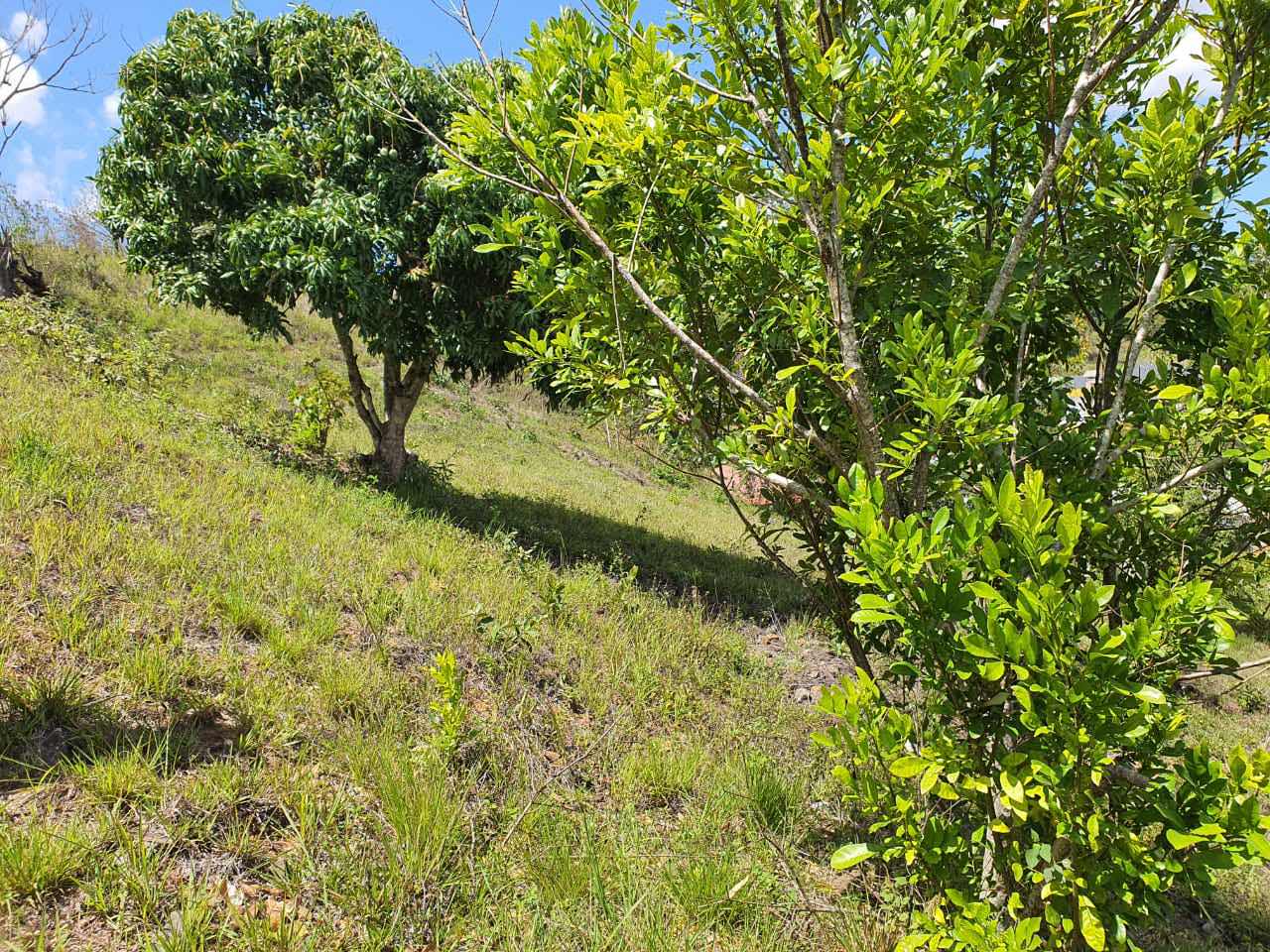 Land in 3ra. Calle, Siguatepeque, Honduras