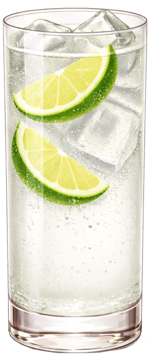 Gin and Tonic