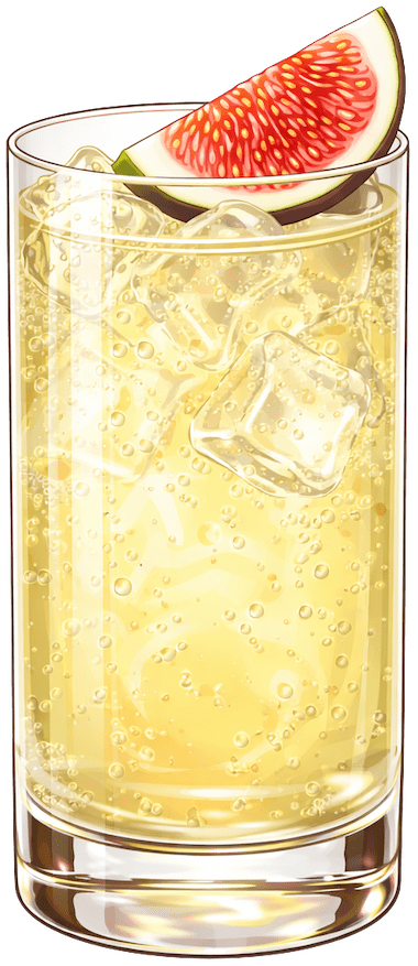 Honey Fig Gin & Tonic