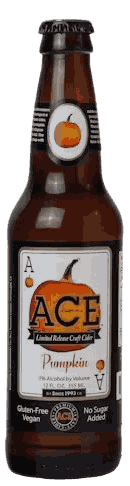 Ace Pumpkin Cider Specialty from United States