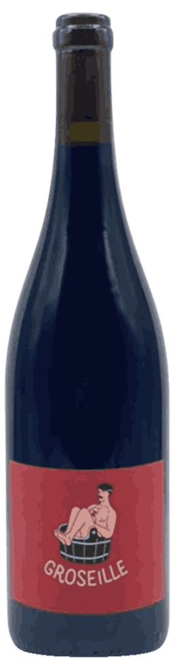 Alexis Hudon Groseille VDF Wine from France