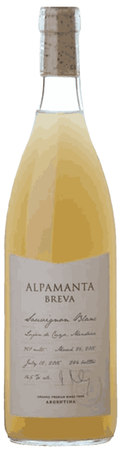Alpamanta Breva Sauvignon Blanc Wine from Argentina