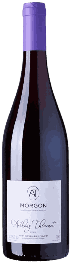 Anthony Thevenet Morgon Wine from France