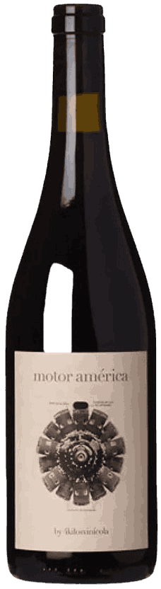 4 Kilos Motor América Wine from Spain