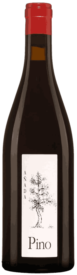 Bodegas Ponce Pino Manchuela Wine from Spain