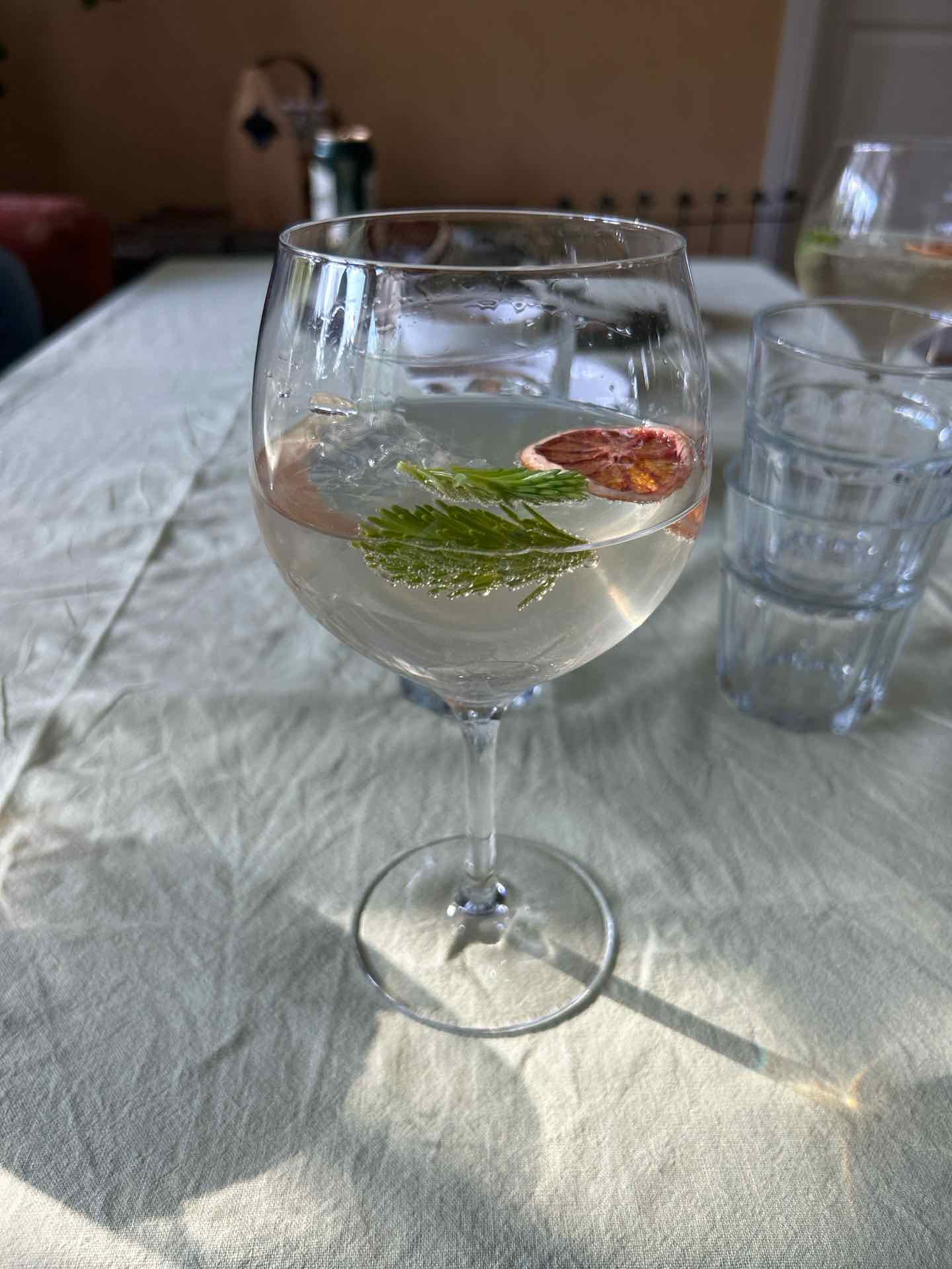 Community photo of a Gin and Tonic cocktail
