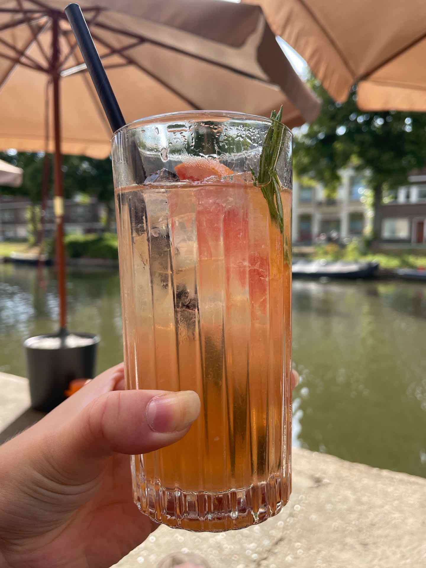 Community photo of a Paloma at Utrecht, Utrecht, Nederland