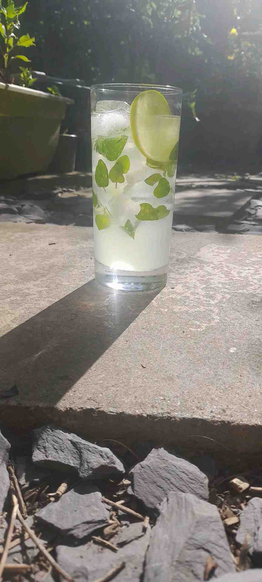 Community photo of a Mojito cocktail: Similar to Daiquiri.  Lemonade and mint adds refreshing feel and reduces bite of citrus. Time consuming, but aesthetic and popular.