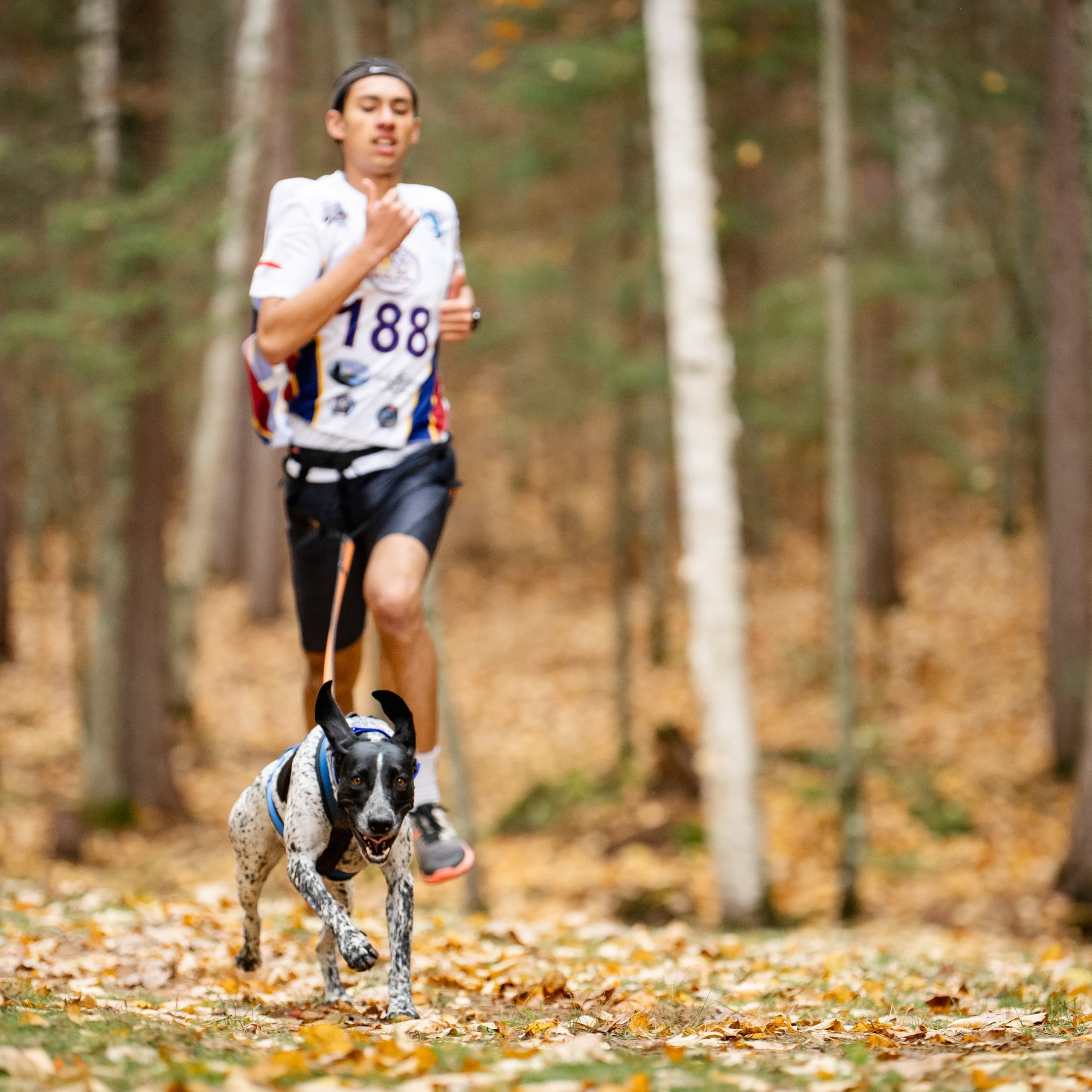 Fernando Navarro of Chile  IFSS Dryland World Champion 2025 in canicross junior