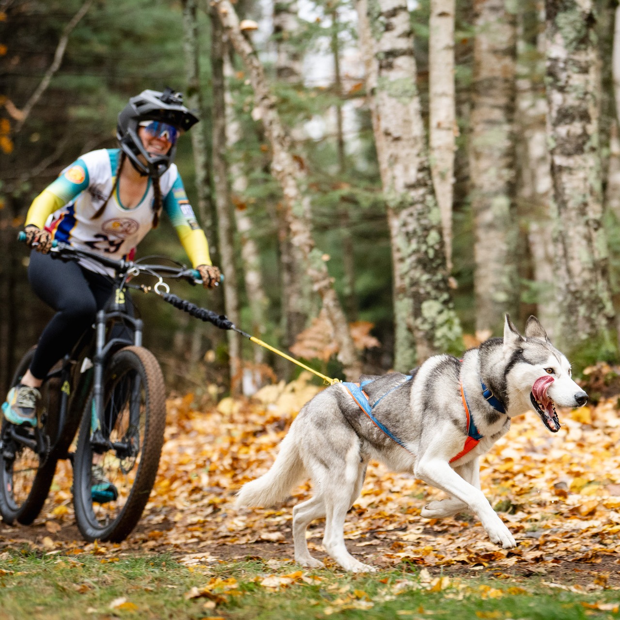 Holly Jessen's Historic Finish Marks New Era for Australian Sleddog Sports