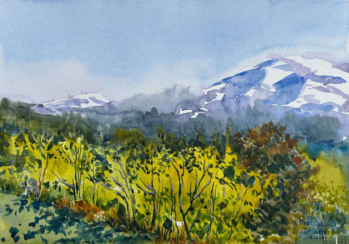 Fjellsjel