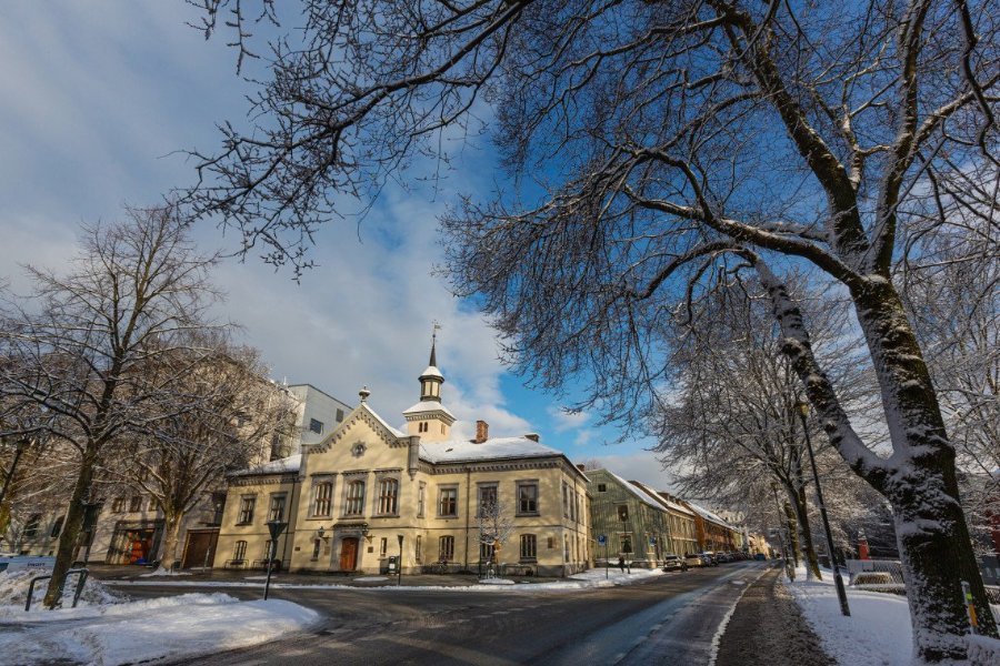 No photo description available.