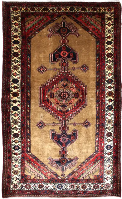 Complete view of the rug