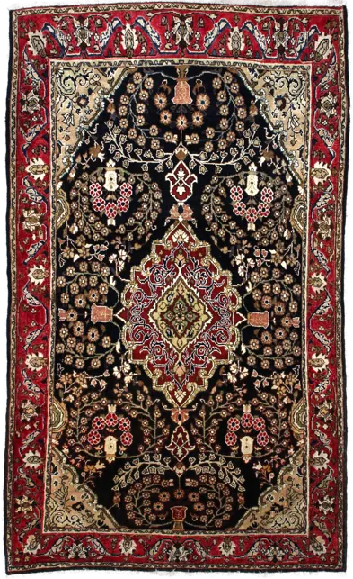 Complete view of the rug