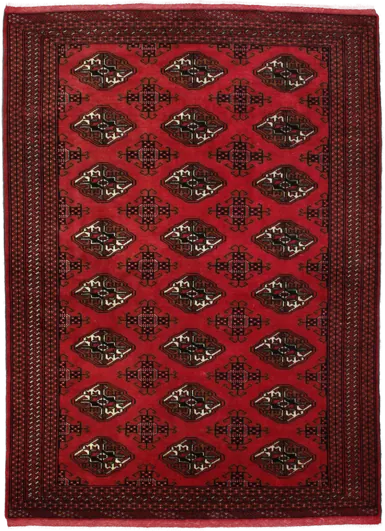 Complete view of the rug