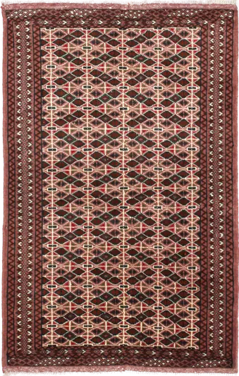 Complete view of the rug