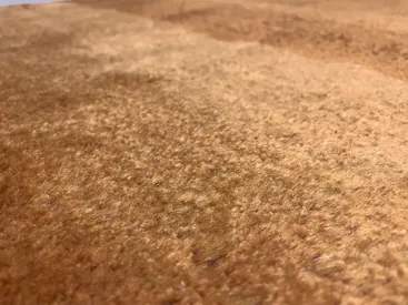 Close-up on the rug's texture