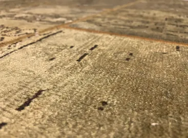 Close-up on the rug's texture