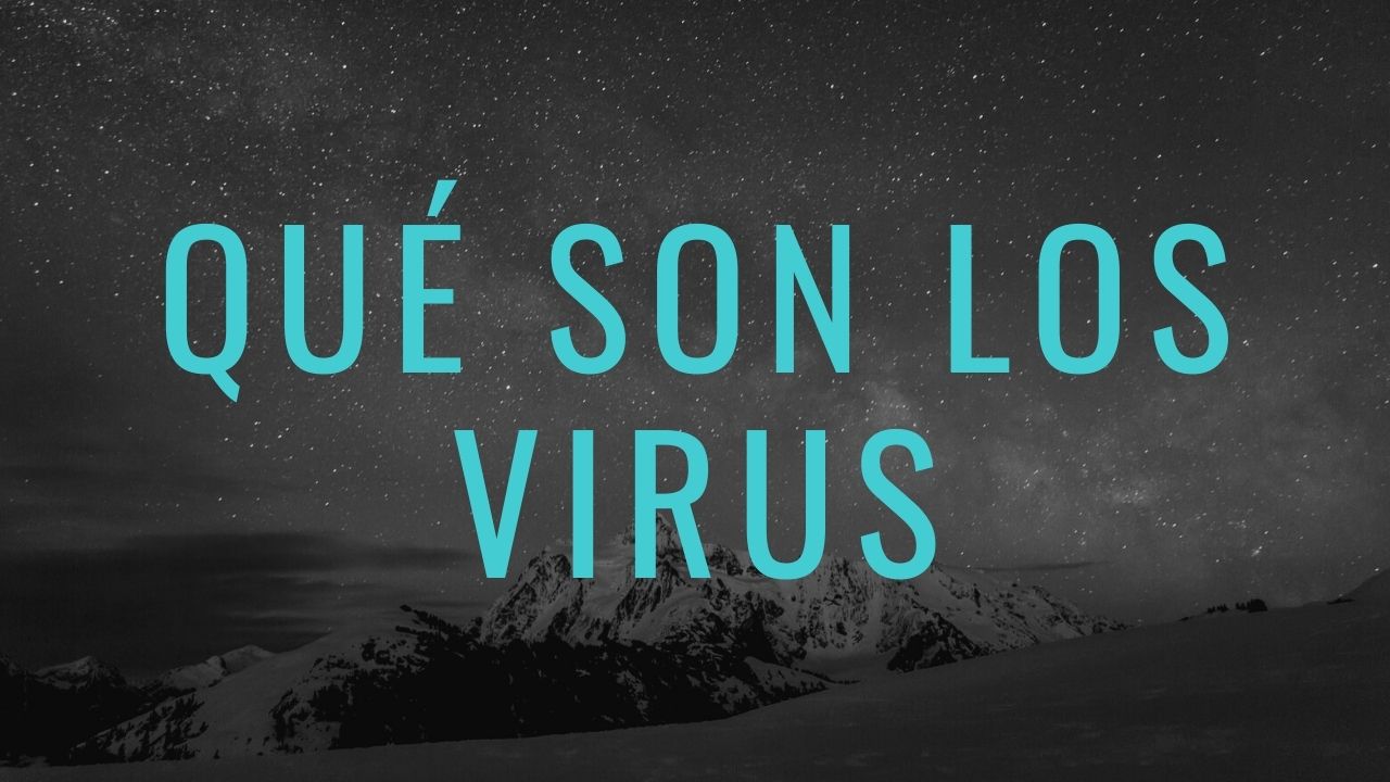 ¿Qué son los virus informaticos?