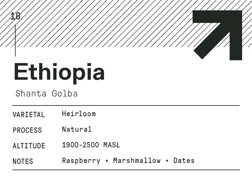 Ethiopia Shanta Golba
